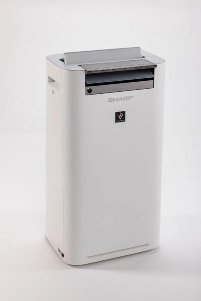 Очищувач повітря з функцією зволоження SHARP KC-G50EUW KC-G50EUW фото